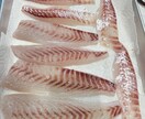 初心者歓迎フカセ釣りで釣れない原因と対策を教えます フカセ釣りで釣れない理由と釣った魚の美味しい食べ方教えます イメージ8