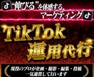 実績豊富!!50万人の私が運用代行します 初心者でも安心!!現役プロがTikTok完全運用サポート!! イメージ1