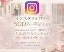 インスタフォロワー500人～増加します Instagramフォロワー増加で人気者アカウントに！ イメージ1