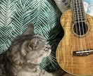 ペットのお悩み解決策お伝えします 猫や犬が飼いたい！また飼っている方のお悩み イメージ3