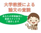 学術論文を査読し、コメントをいたします 日本語学の専門家からの文章の論理性・説得性を高めるアドバイス イメージ1