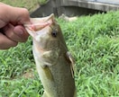 和歌山県のバス釣りポイント教えます 和歌山県の知りたいポイントお教えします。 イメージ3
