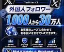 X・旧Twitterの外国人フォロワーを増加します 低価格でXフォロワー1000増加！ イメージ4