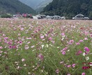 どんなお話でも聞きます 悩んでることやただ聞いてほしことだけでもいいです イメージ1