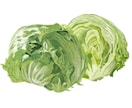 新鮮な野菜果物イラスト｜温かいタッチで制作します レシピ本・メニュー・パッケージ用食品イラストを制作します イメージ3