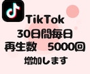 TikTok再生数5000、30日間毎日増加します 【即対応】あなたのアカウント信頼度高めませんか？ イメージ1