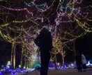 鳥取で雰囲気のある写真を撮影します 海や山など自然な場所を撮影します。撮影枚数無制限です。 イメージ4