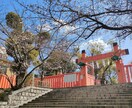 皆様の大切な道を審神者鑑定致します 皆様のライフアドバイザーです。 イメージ3