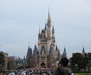 スマホやデジカメで撮影した自然な写真を撮ります スマホやデジカメで撮った風景など イメージ7