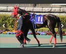明日9/5木曜日の川崎競馬予想を配信します 競馬で負け続けてる人に少しでもお役に立つ予想を提供します。 イメージ1