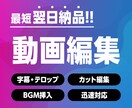 迅速対応！動画編集おこないます 字幕・テロップ挿入、カット編集を最短翌日納品！ イメージ1