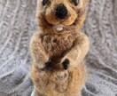 写真から羊毛フェルト犬を制作します 練習価格でお作りします（モニター） イメージ3