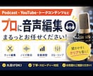 ノイズ除去・カット編集など音声編集まるっと承ります プロエンジニアがコンテンツの質を高めるお手伝いをいたします！ イメージ1