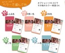 うちの子「目力名刺」作ります 可愛い我が子のお目々名刺でインパクト大！！ イメージ2