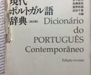  【ブラジルポルトガル語⇔日本語】翻訳　ニュース、ウェブサイト、ＳＮＳ、広告等 イメージ2