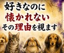 1日納品｜あなたがペットに避けられる理由を視ます アニマルコミュニケーション・ペットの気持ち・避けられる理由 イメージ1