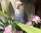 原稿などのwordの書き起こし。ます 即日納品、即返信。伝わる文章の文字起こし作成。 イメージ1
