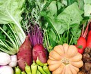 プロの有機農家が野菜のつくり方を教えます 家庭菜園で上手く野菜をつくれない方や野菜栽培に興味のある方へ イメージ3