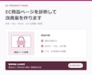 EC商品ページを診断して改善案を作ります 訴求・FAQ・SEOを1ページで改善提案します イメージ1