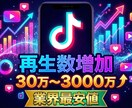 TikTokの動画再生数を増加します TikTok動画宣伝します！＋300000再生回数増加確実！ イメージ1