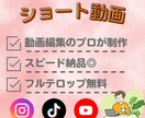 ハイクオリティなショート動画を制作します Instagram、TikTok、YouTubeなど！ イメージ1