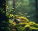 高位精霊との霊視で、二人の魂を愛ある未来へ導きます 【先の光が見えず不安な方へ】未来は変えれる。※初回限定価格 イメージ5