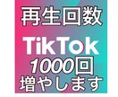 TikTokの再生回数を増やします TikTokの再生回数を1000回増やします。 イメージ1