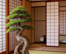 和室背景のLORA販売します 生成画像の背景を和室に統一できるLORA イメージ1