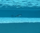 放課後等デイサービス専門｜経営・運営サポートします 現役経営者が放課後等デイの経営相談に乗ります イメージ1