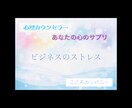 ビジネスのストレスを聴きます ビジネスのストレス発散〜心のサプリ〜 イメージ1