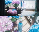 商品の魅力を最大限引き出すお写真撮影します SNSフォロワー1.8万人の写真家が撮影します イメージ7