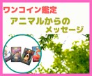 アニマルスピリットから幸せのメッセージお届けします 【ワンコイン鑑定】全集中オラクル1枚引きで幸運へのお手伝い♪ イメージ1