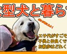 お試し価格⭐︎サムネイルを作成いたします 視聴者の目に入りやすいわかりやすいサムネイルを作成いたします イメージ4