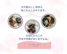 愛犬愛猫を看取った経験者がシニア期の不安聴きます シニア期・介護の不安や本音…一人で抱え込まずお話しください イメージ4