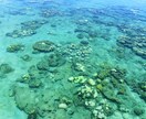 ワーホリ、リゾバ、海外旅行相談のります ワーホリや留学、リゾバ何か不安があればお力になります。 イメージ4