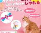 中国輸入やAmazon・楽天・ヤフーの画像作ります カタログ画像まで手が回らない方やプロに頼みたい方へ イメージ2