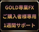 手法をものにできるように個別指導します ご購入者様専用で、お一人様一度限りとなります。 イメージ1