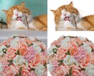 Photoshopを使用し画像加工致します 現役デザイナーが丁寧に作業致します イメージ2