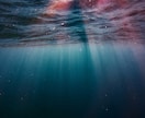 ペット鑑定 | 天国の家族とつなげます 虹の橋のあの子の想い、届けます イメージ6