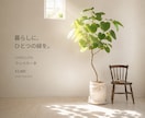 Instagram投稿画像を丁寧にデザインします ナチュラルで伝わりやすい投稿画像をお届け イメージ2