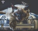 電話が苦手‥そんなピュアでシャイな貴方へ贈ります LINEのようにお話ししよ♪3日間500円お試しプラン♪ イメージ5