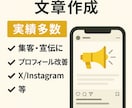 SNSマーケ文章作成します バズを狙う投稿文を作成。集客・アクセスUPに強い！ イメージ1