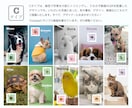 動く「うちの子名刺」（完全おまかせ）をお作りします うちの子が“動いて伝わる”、特別な名刺をデザインします。 イメージ4