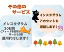 手作業で2週間Instagramのいいね代行します ✦集客/認知度UP！完全手動でターゲットにアプローチします！ イメージ7