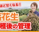 YouTubeサムネイルを作成します 再生回数を増加！クリックしたくなる！サムネイルを作成します イメージ2