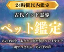 ペット鑑定 |今もそばに、あの子の想いがあります 伝えきれなかった想いを、魂の記憶からすくい上げてお届けします イメージ1