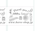パッケージやバナーに使える線画イラスト描きます 美大卒・植物などナチュラルなイラストをご提案 イメージ2
