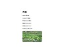 農作物の情報のQRコードを2つ作成いたします ブロックチェーンに書きこんでいるので情報が改ざんされません イメージ4