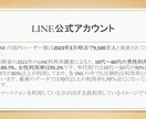 各種SNS集客や販売戦略コンサルます アカウント作成からマーケティング・販売戦略までサポート イメージ3