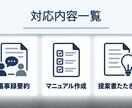 議事録・マニュアル・提案書の素案を作成します 決定事項の整理から属人化した業務手順の言語化まで対応 イメージ5